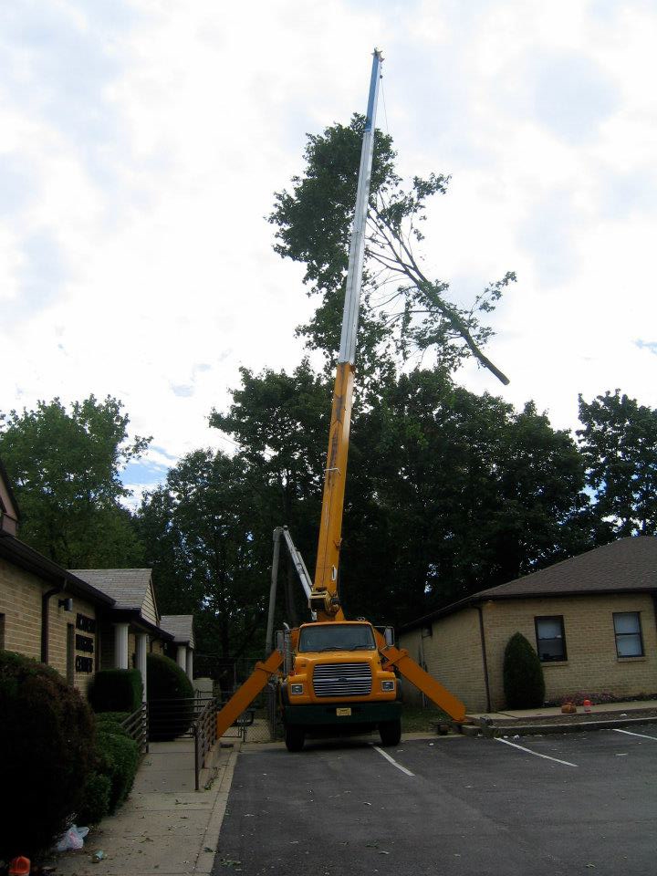Business queued-photos - MGC Landscaping & Tree Service