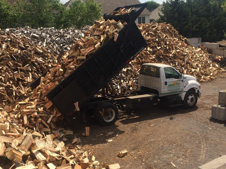 Business queued-photos - MGC Landscaping & Tree Service