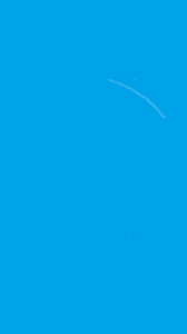 Business queued-photos - Ortiz Tree Service Tree Trimming & Removal