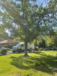 Business queued-photos - Epy tree service and landscaping