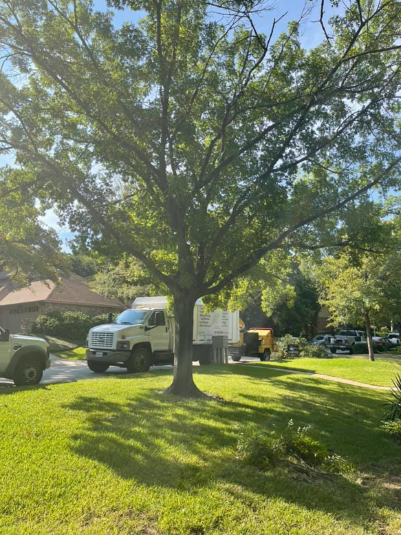 Business queued-photos - Epy tree service and landscaping