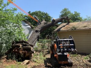 Business queued-photos - Epy tree service and landscaping