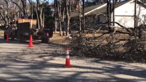 Business queued-photos - Epy tree service and landscaping