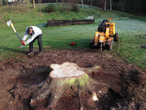 Business queued-photos - JJJ Tree Service