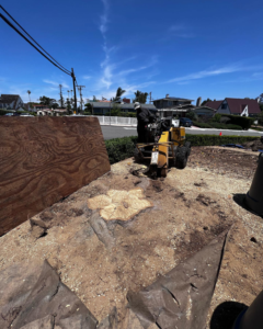 Business queued-photos - Arce’s Tree Service