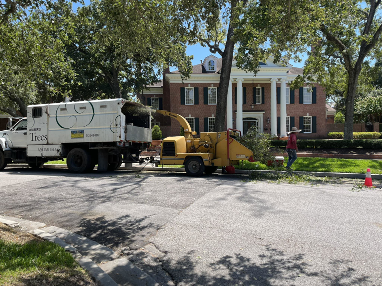 Business queued-photos - Wilber Tree Service