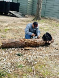 Business queued-photos - Wilber Tree Service