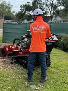 Business queued-photos - Wilber Tree Service
