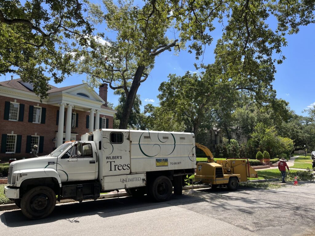 Business queued-photos - Wilber Tree Service