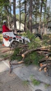 Business queued-photos - Wilber Tree Service
