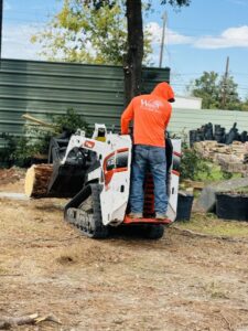 Business queued-photos - Wilber Tree Service