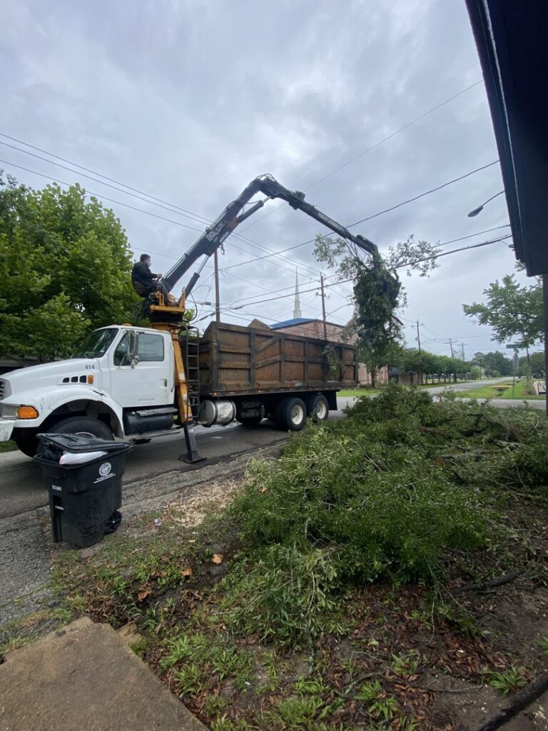 Business queued-photos - Wilber Tree Service