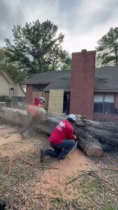 Business queued-photos - Wilber Tree Service