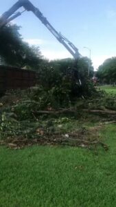 Business queued-photos - Wilber Tree Service