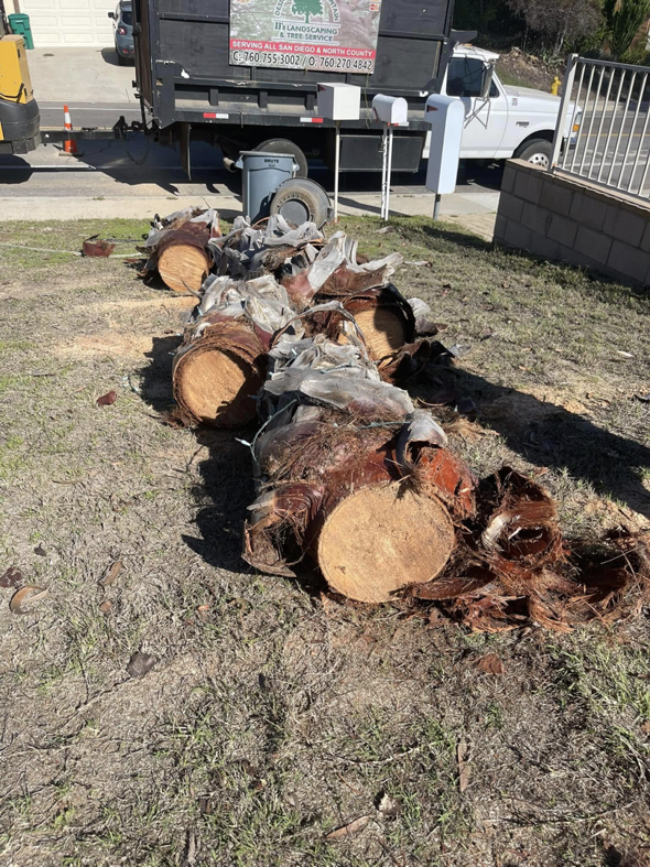 Business queued-photos - JJsLandscaping&TreeDominators