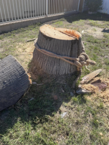 Business queued-photos - JJsLandscaping&TreeDominators