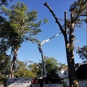 Business queued-photos - Sanford’s Tree Service Inc