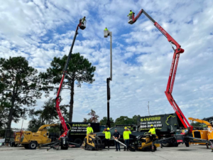 Business queued-photos - Sanford’s Tree Service Inc