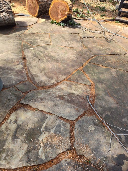 Business queued-photos - Mauricio tree service.