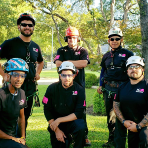 Business queued-photos - JC Tree Service