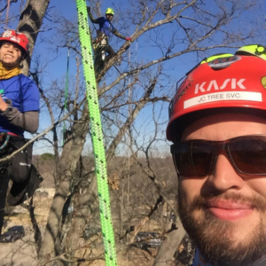 Business queued-photos - JC Tree Service