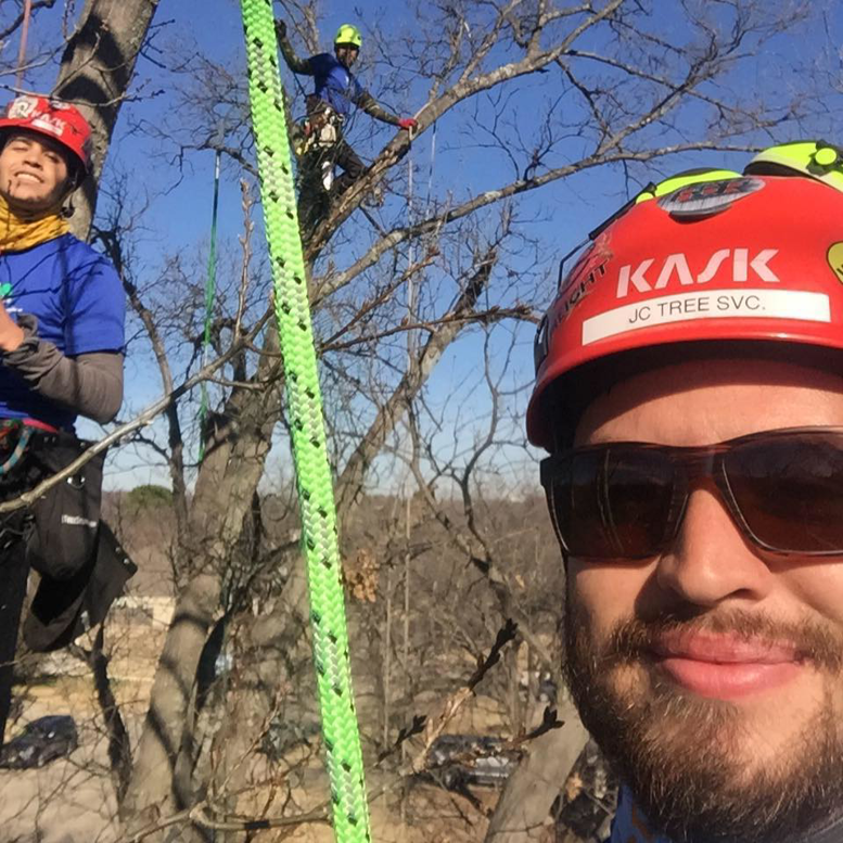 Business queued-photos - JC Tree Service