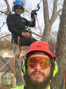Business queued-photos - JC Tree Service