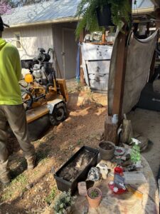 Business queued-photos - Austin Tree Surgeons