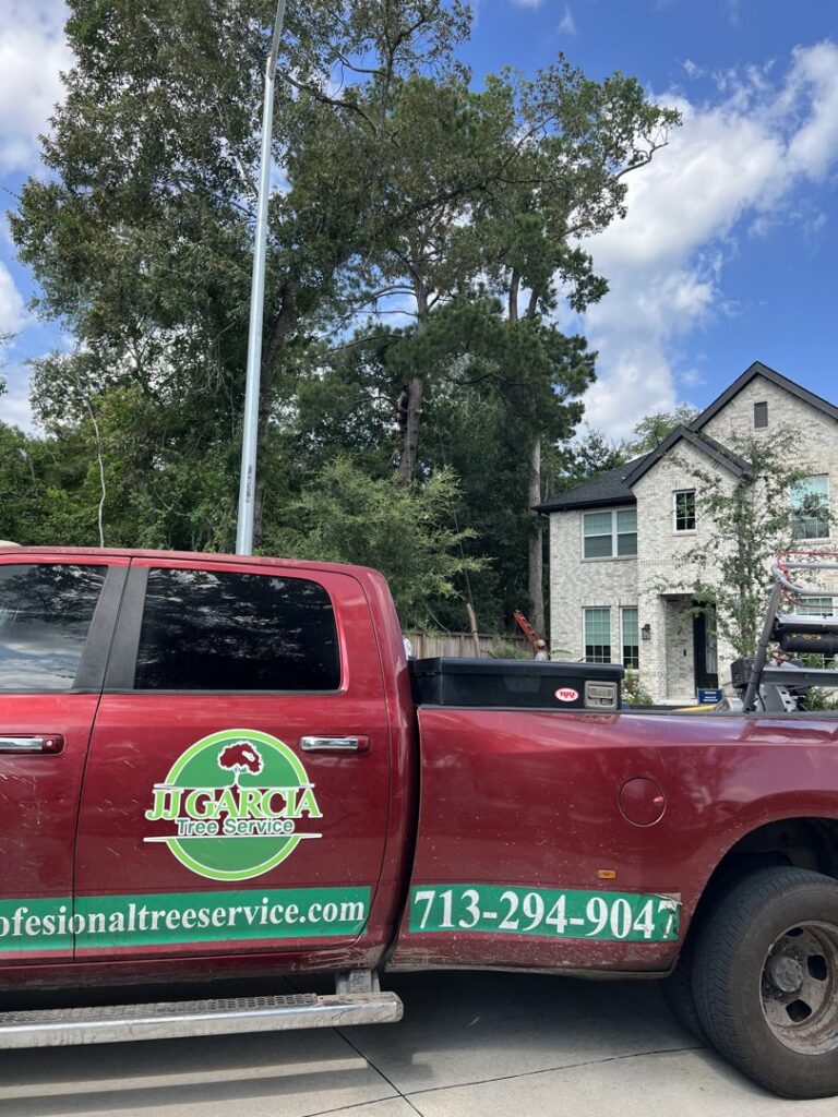 Business queued-photos - JJ Garcia Professional Tree Service