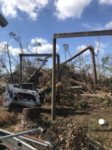 Business queued-photos - JJ Garcia Professional Tree Service