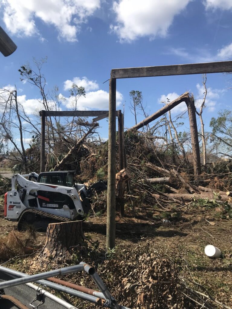 Business queued-photos - JJ Garcia Professional Tree Service
