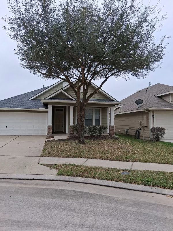 Business queued-photos - JJ Garcia Professional Tree Service