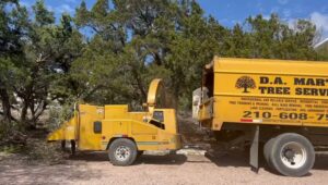 Business queued-photos - D.A. Martinez Tree Service