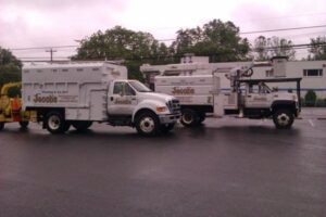 Business queued-photos - Jacob A Tree Service