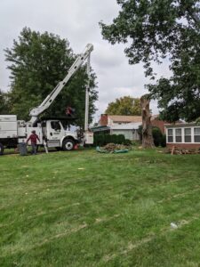 Business queued-photos - Jacob A Tree Service