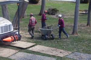 Business queued-photos - Jacob A Tree Service