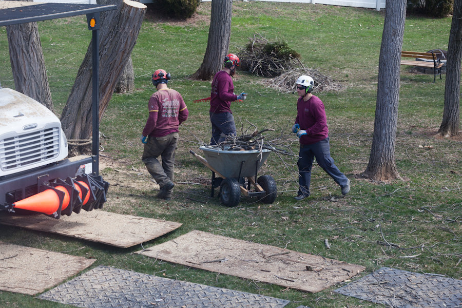 Business queued-photos - Jacob A Tree Service