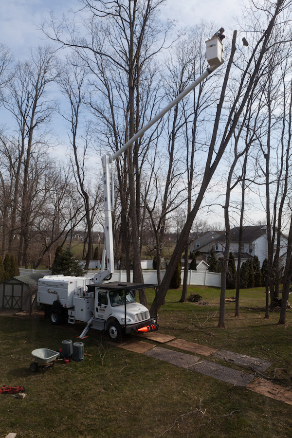 Business queued-photos - Jacob A Tree Service