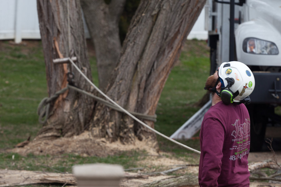 Business queued-photos - Jacob A Tree Service