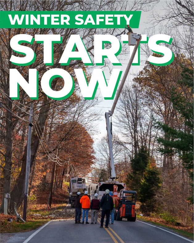 Business queued-photos - McCullough’s Tree Service Inc.