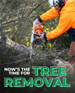 Business queued-photos - McCullough’s Tree Service Inc.