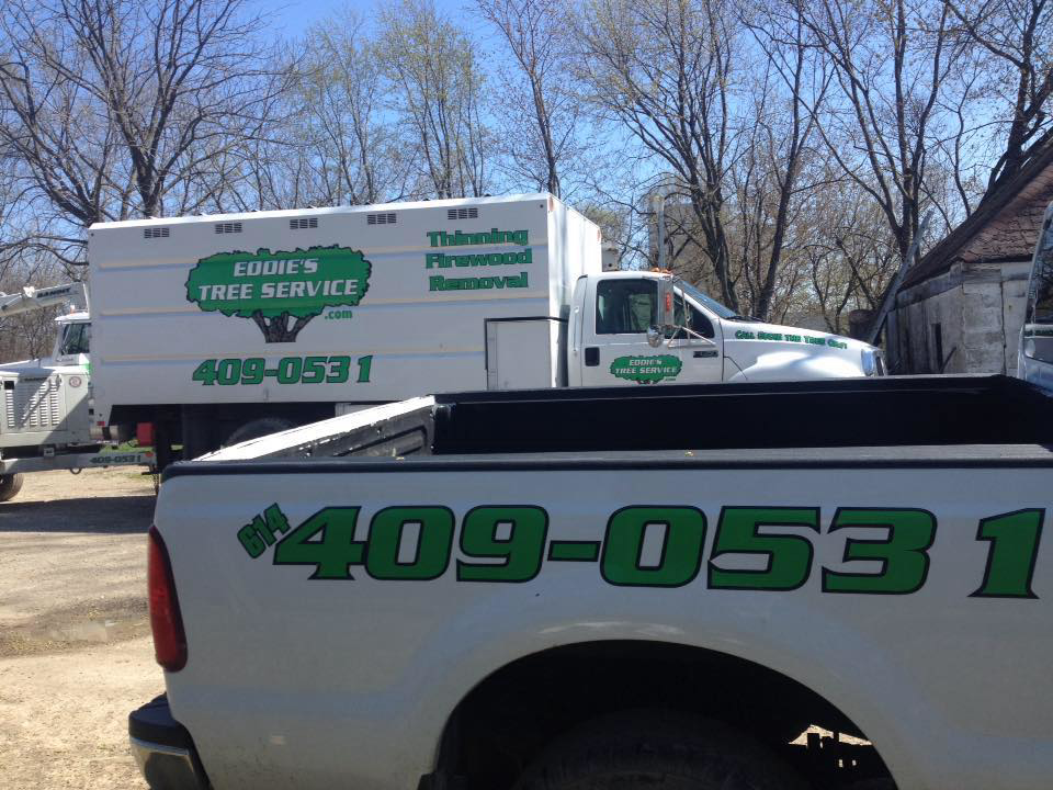Business queued-photos - Eddie’s Tree Service