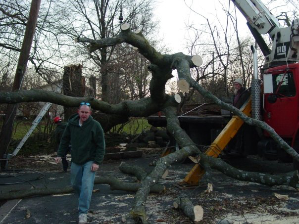 Business queued-photos - Whole Tree Care by Trappers Tree Service Columbus Ohio