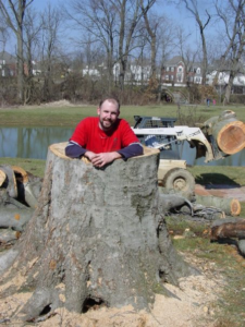 Business queued-photos - Whole Tree Care by Trappers Tree Service Columbus Ohio