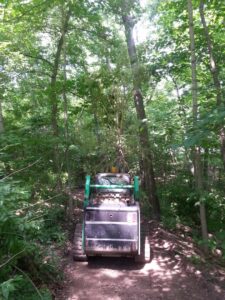 Business queued-photos - Whole Tree Care by Trappers Tree Service Columbus Ohio