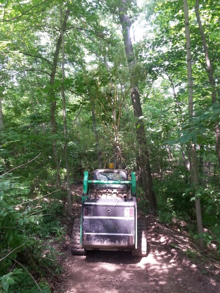 Business queued-photos - Whole Tree Care by Trappers Tree Service Columbus Ohio