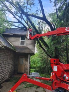 Business queued-photos - Whole Tree Care by Trappers Tree Service Columbus Ohio