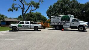 Business queued-photos - Luna Tree Service