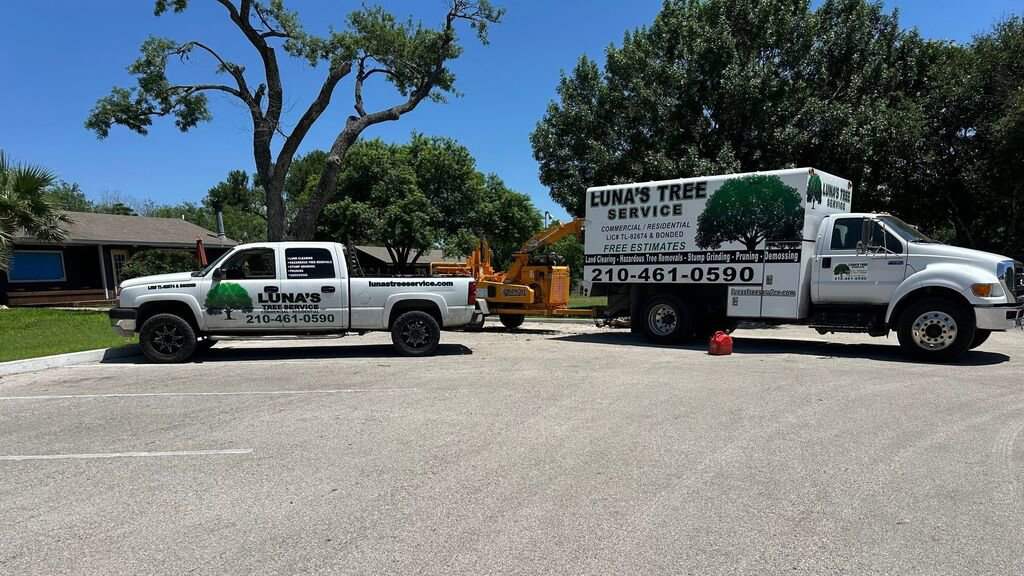 Business queued-photos - Luna Tree Service