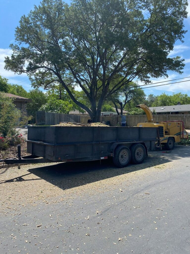 Business queued-photos - Luna Tree Service